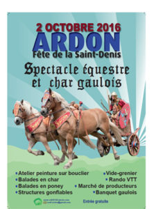 char gaulois6