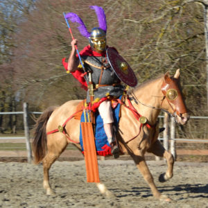 spectacle equestre historique