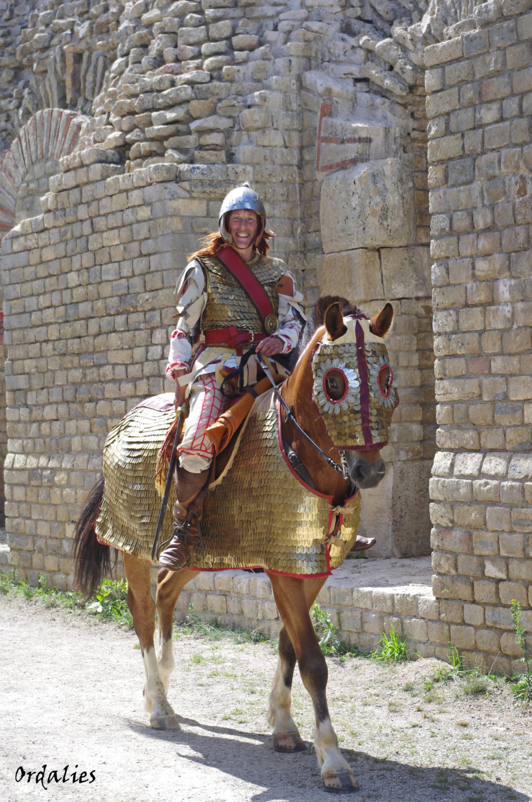 Arcs De Spectacle équestres - Modèle Elfe - Neufs